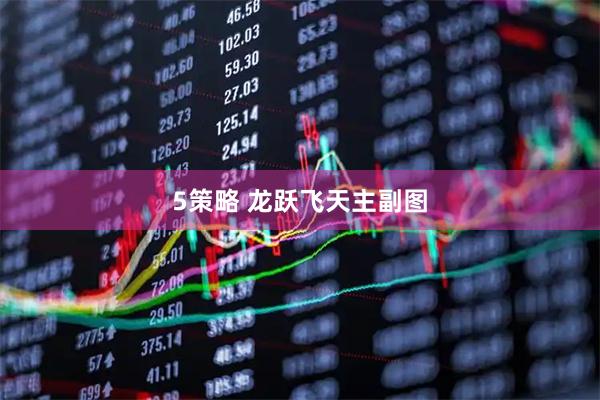 5策略 龙跃飞天主副图