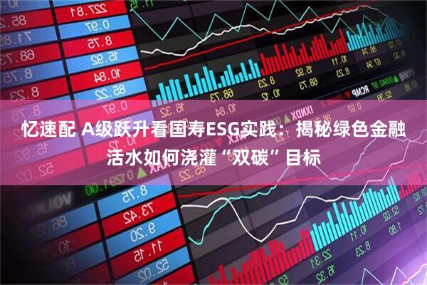忆速配 A级跃升看国寿ESG实践：揭秘绿色金融活水如何浇灌“双碳”目标