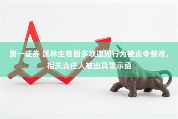 第一证券 派林生物因多项违规行为被责令整改，相关责任人被出具警示函
