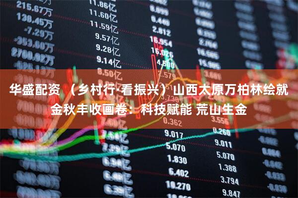 华盛配资 （乡村行·看振兴）山西太原万柏林绘就金秋丰收画卷：科技赋能 荒山生金