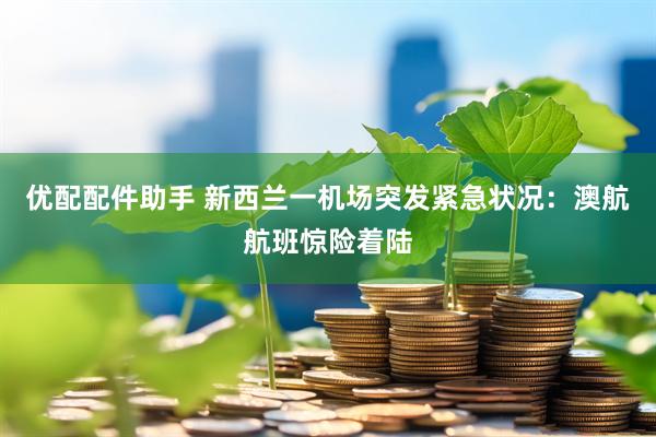 优配配件助手 新西兰一机场突发紧急状况：澳航航班惊险着陆
