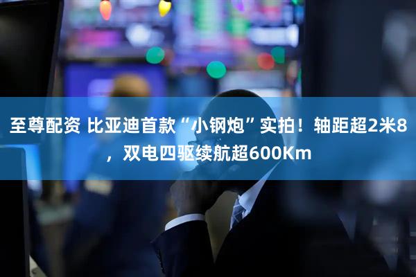 至尊配资 比亚迪首款“小钢炮”实拍！轴距超2米8，双电四驱续航超600Km
