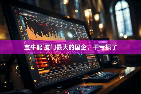 宝牛配 厦门最大的国企，干亏损了