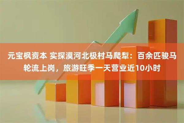 元宝枫资本 实探漠河北极村马爬犁：百余匹骏马轮流上岗，旅游旺季一天营业近10小时