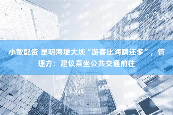 小散配资 昆明海埂大坝“游客比海鸥还多”，管理方：建议乘坐公共交通前往