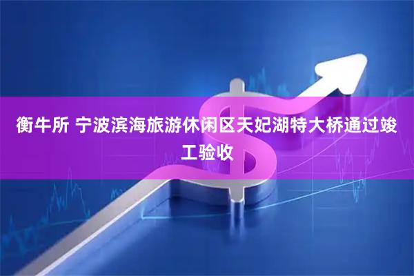 衡牛所 宁波滨海旅游休闲区天妃湖特大桥通过竣工验收